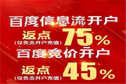 充值返点案例分析：实战操作技巧分享