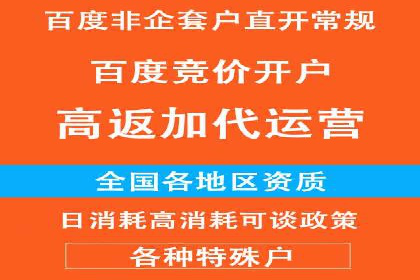 百度推广费用优化策略：成功案例分享
